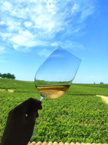 Discover the excellence of Saint-Émilion's grands crus with U'wine at Château Fleur Cardinale.